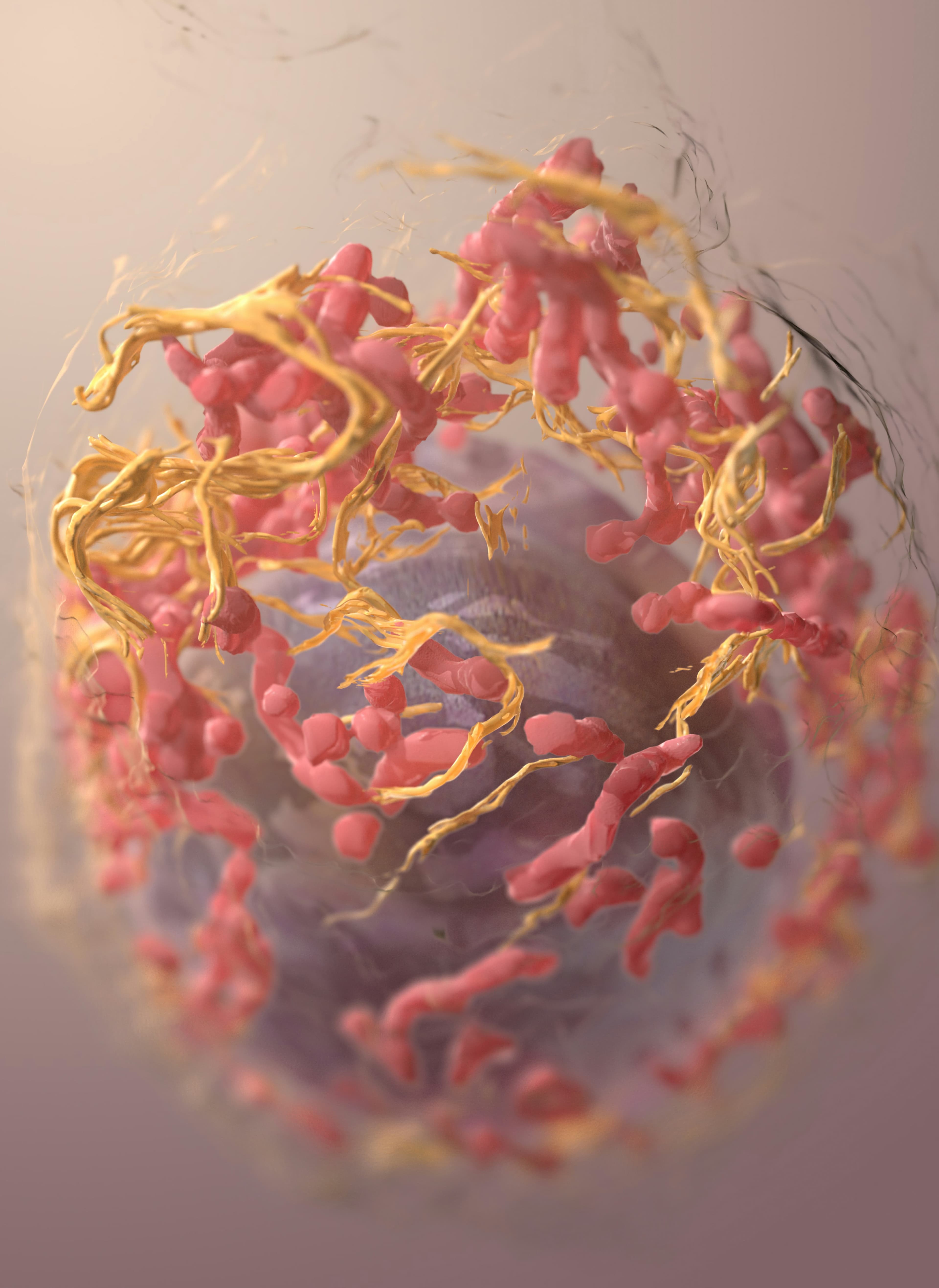 Melanoma cancer cell